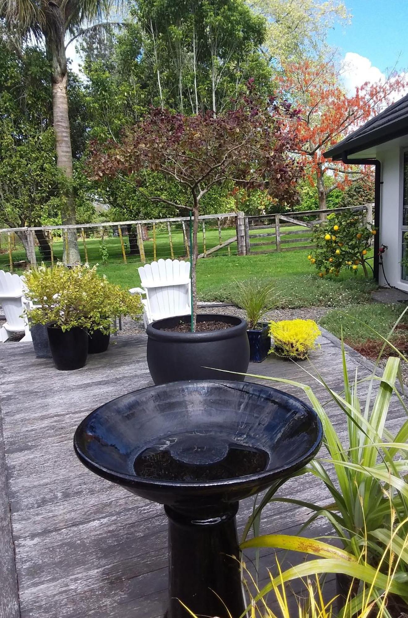 Karapiro Willows Luxury B & B Кеймбридж Екстериор снимка