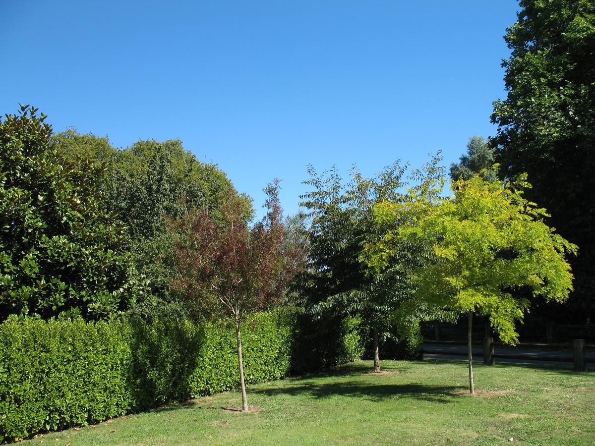 Karapiro Willows Luxury B & B Кеймбридж Екстериор снимка
